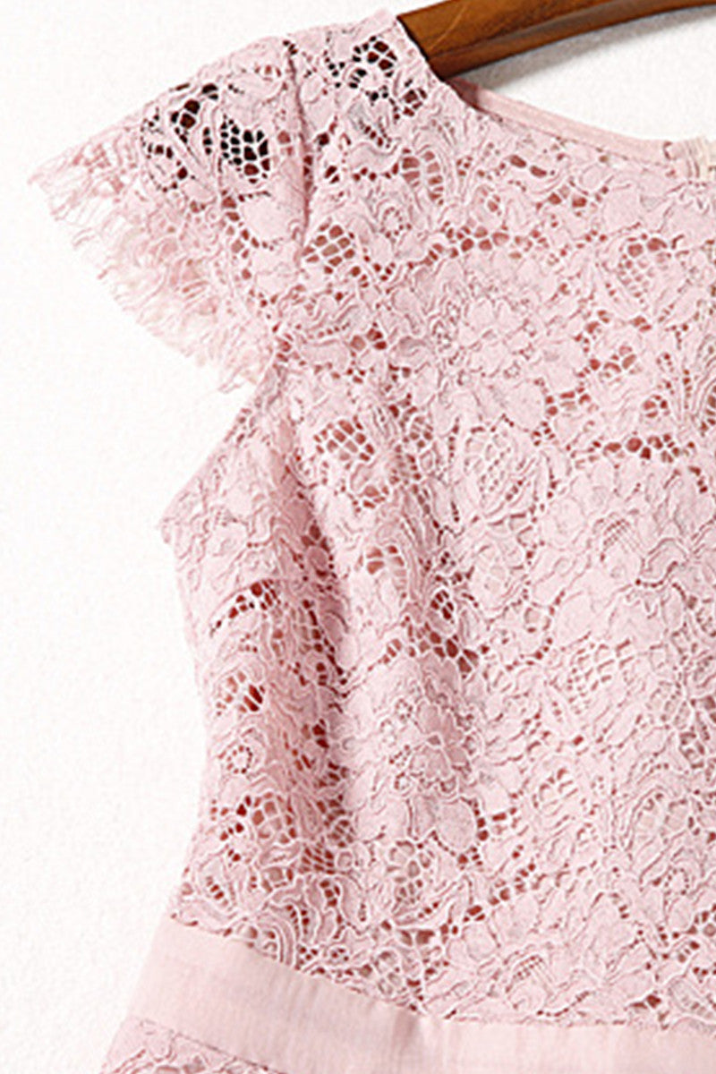 Round Collar Lace Applique Mesh Pleat Dress