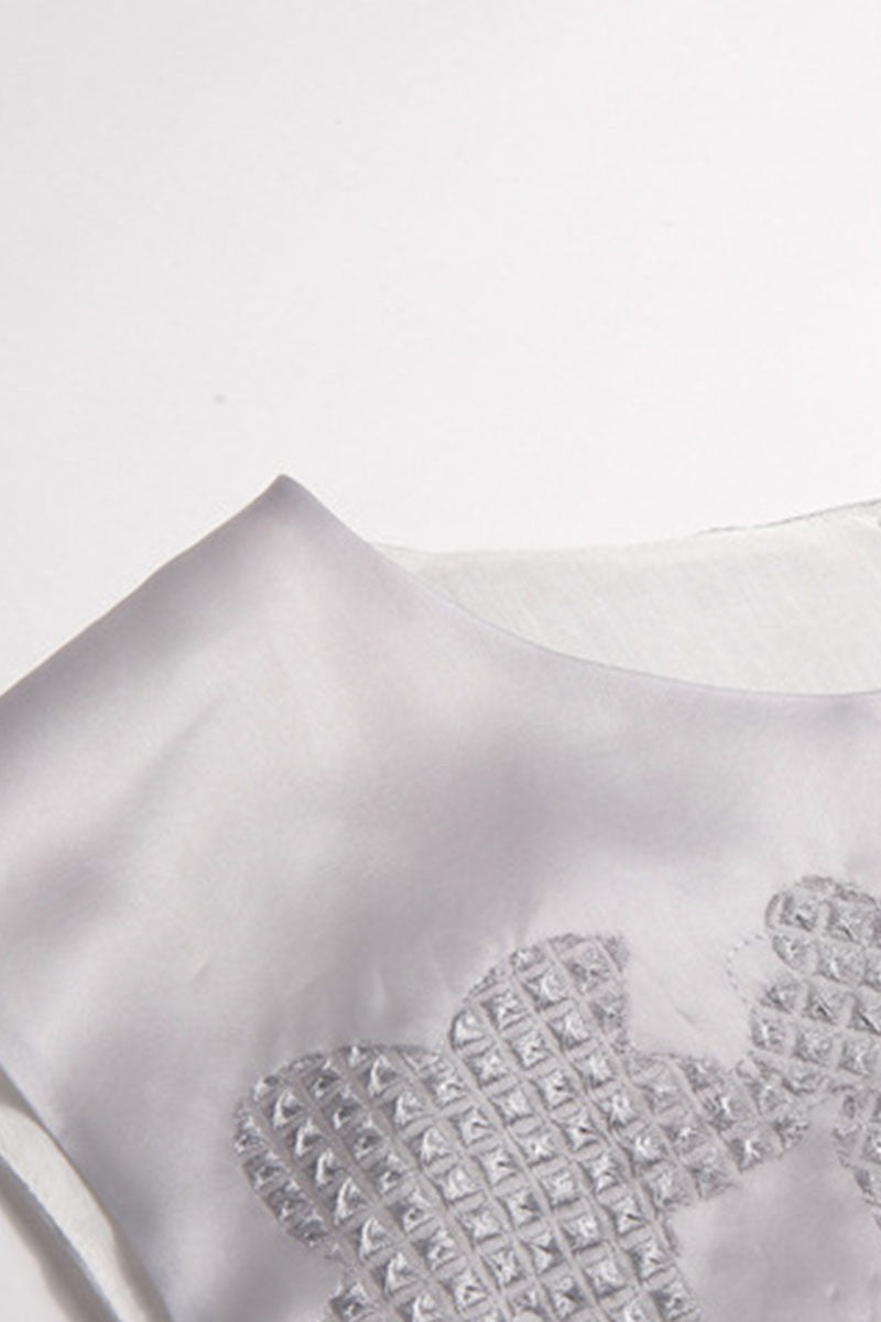 Round Collar Embriodery Sheer Mesh Hem Dress