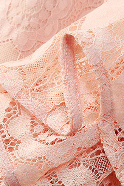 Round Collar See Through  Floral Lace Pleated Dress