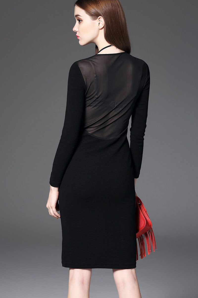 Round Collar Sheer Mesh Patch Slim And Fit  Dress