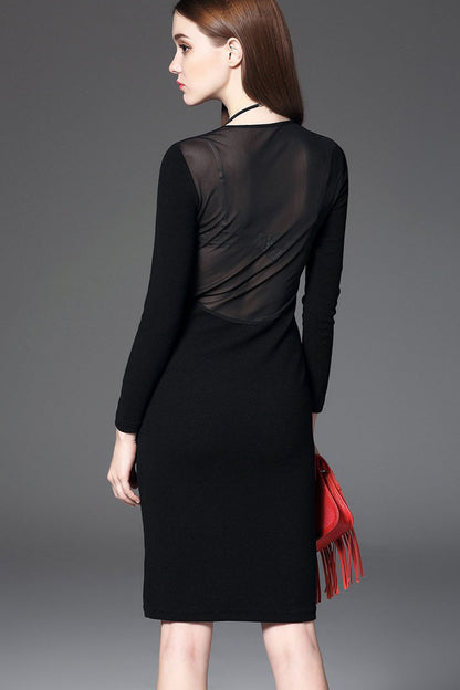 Round Collar Sheer Mesh Patch Slim And Fit  Dress
