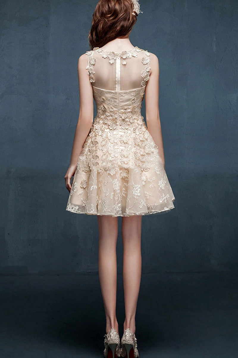 Rosette Lace Back Short Flare Little Party Dress
