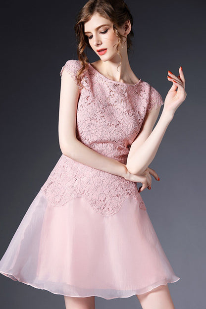Round Collar Lace Applique Mesh Pleat Dress