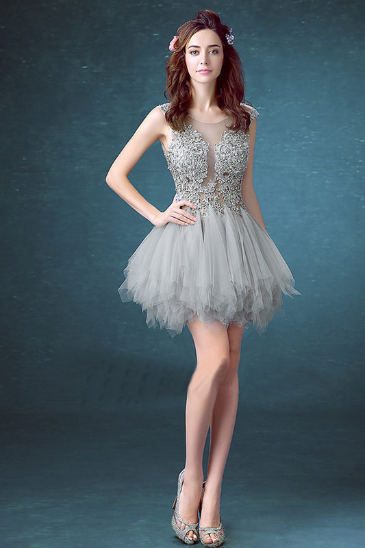 Round Collar Sheer Mesh Lace Sequin Tulle Overlay Mini Dress
