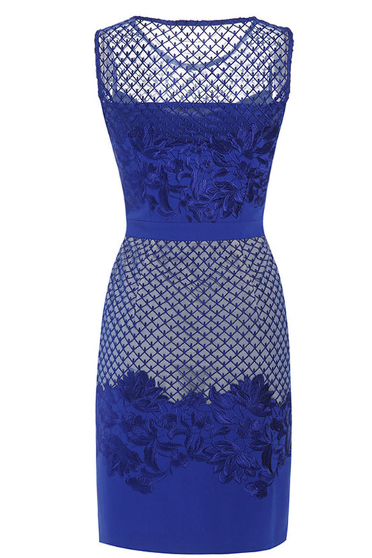 Round Collar Sheer Mesh Grid Floral Lace Slim Dress