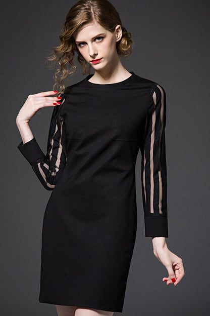See Through Long Sleeve Slim Short Dress