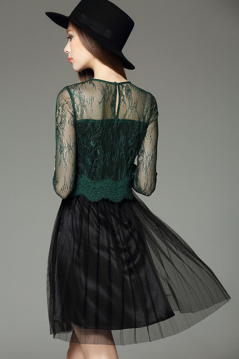 Lace See Through Sheer Patch Mesh Pleat Flare Party Dress - NJOYDRESS - 3