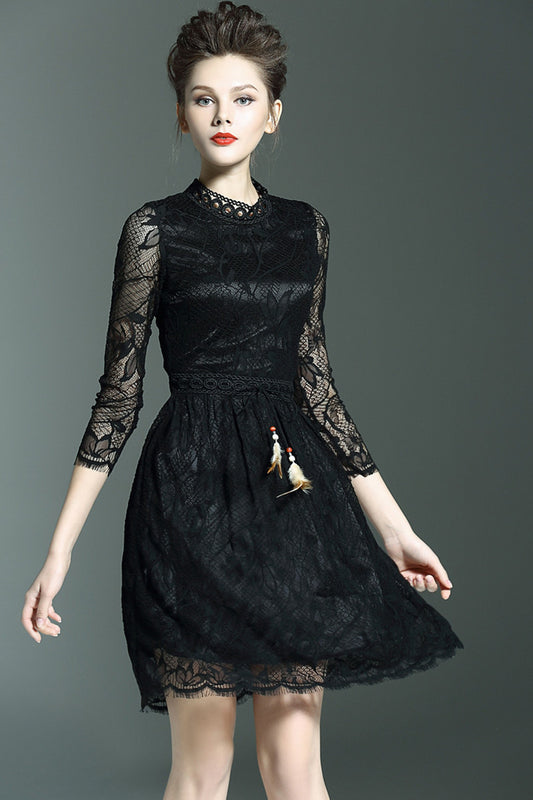 Stand Collar Sheer Sleeve Tunic  Hollow Out Lace  Dress