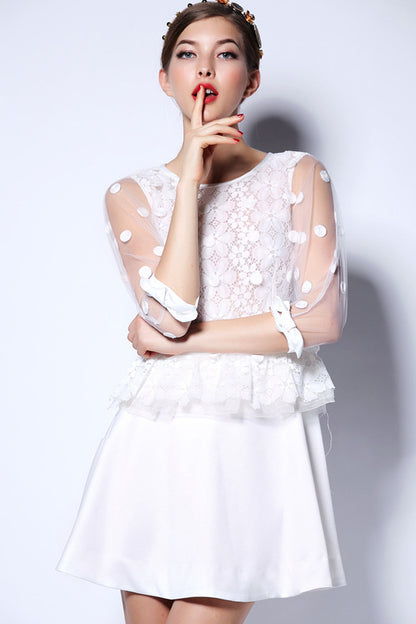 Round Collar Dot Pattern Print Sheer Mesh Dolman Sleeve Flare  Slim Dress