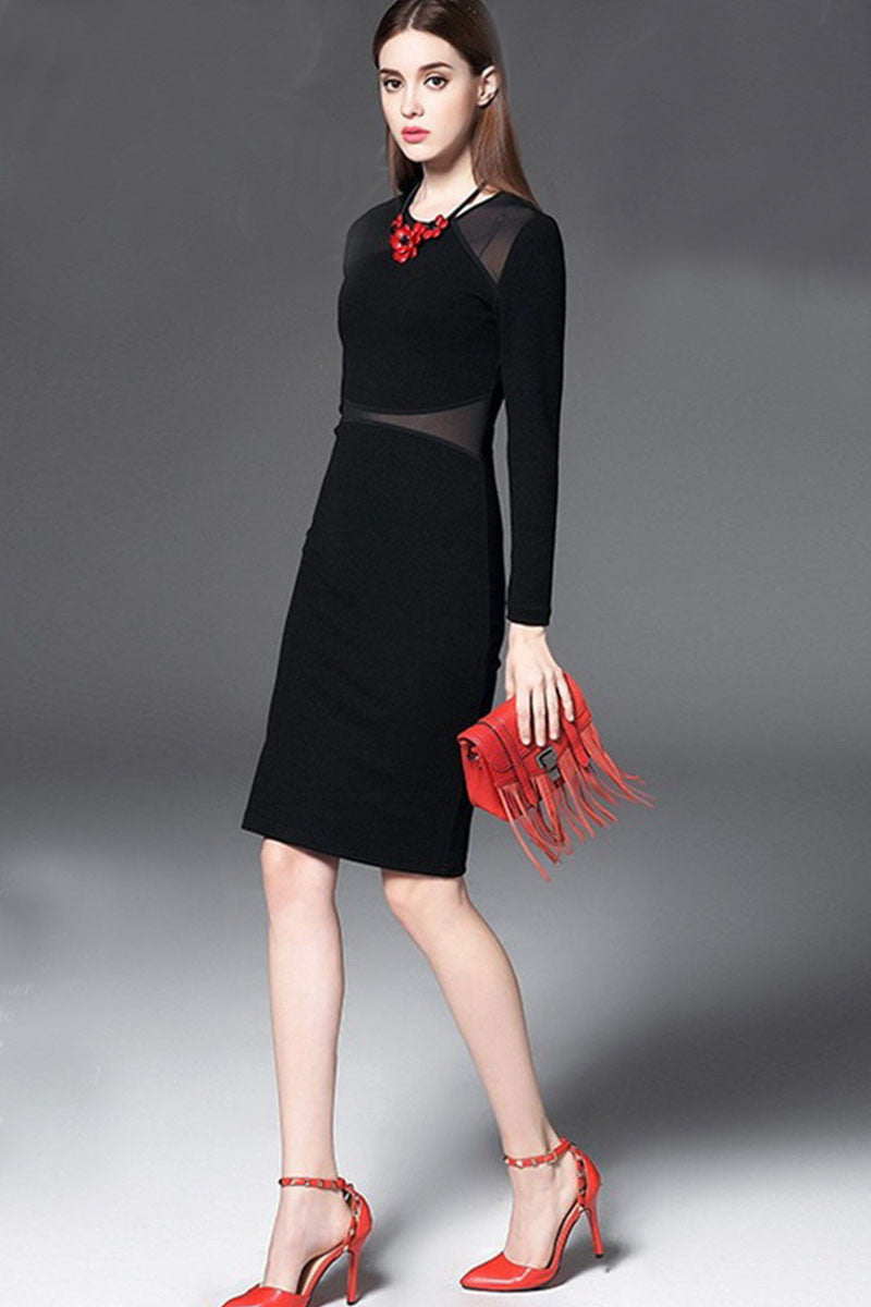 Round Collar Sheer Mesh Patch Slim And Fit  Dress