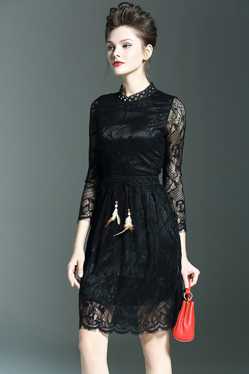 Stand Collar Sheer Sleeve Tunic  Hollow Out Lace  Dress