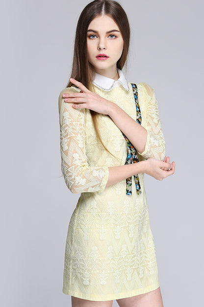Casual Slim Doll Neck Embroidery Short Dress