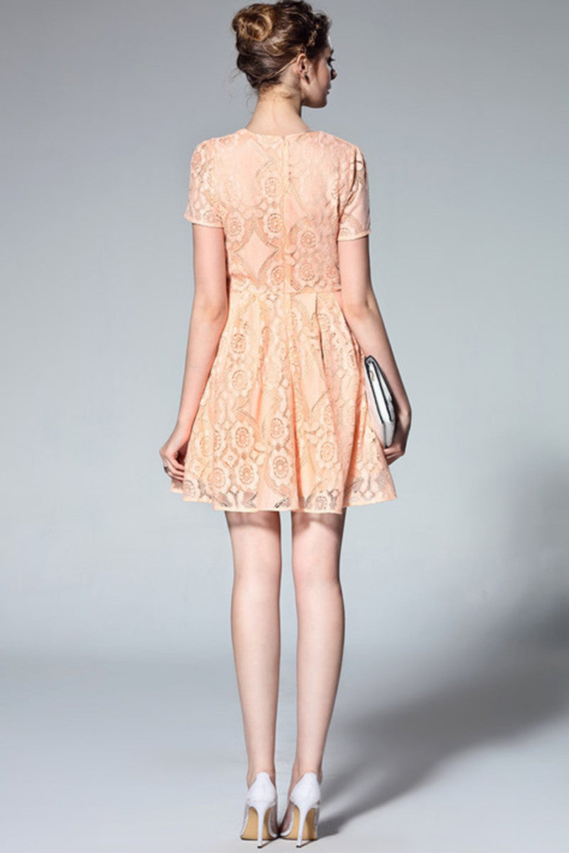 Round Collar See Through  Floral Lace Pleated Dress