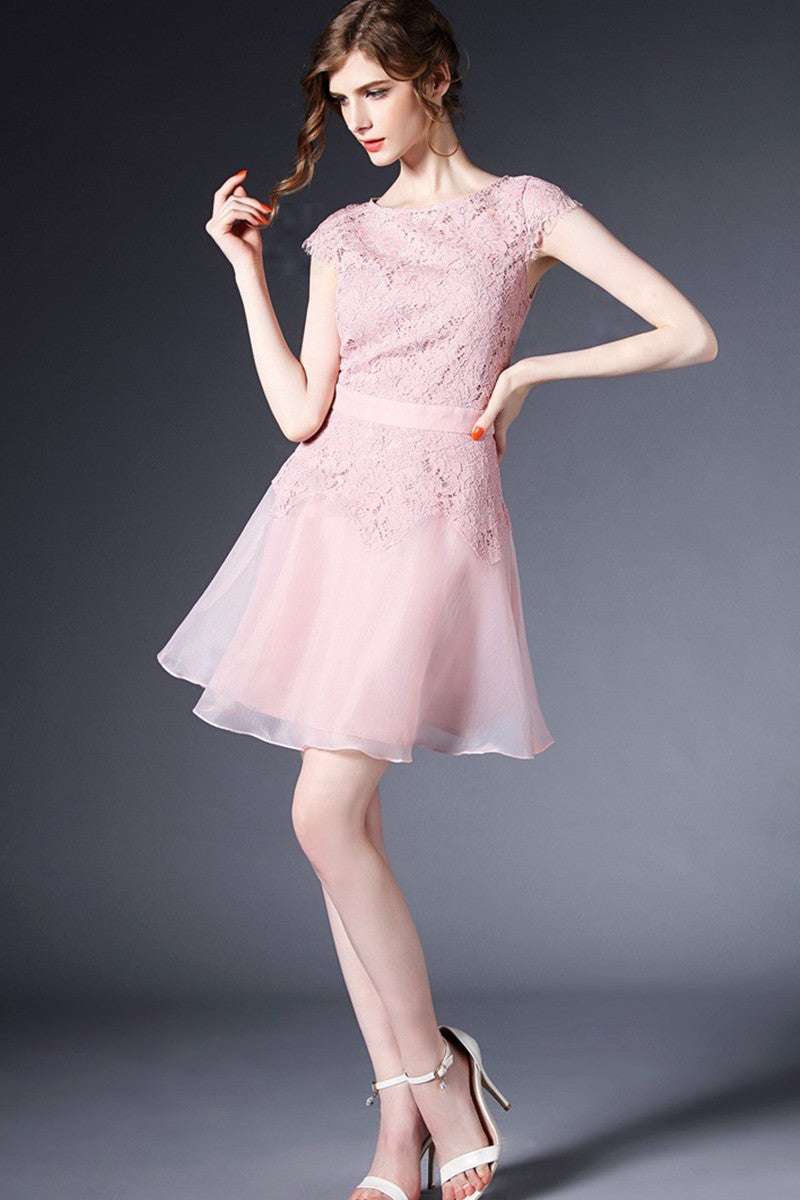 Round Collar Lace Applique Mesh Pleat Dress