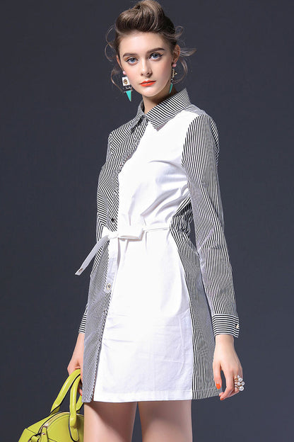 WOMEN'S ELEGANT POLO NECK WEAR TO WORK LONG SLEEVE SHORT DRESS WITH BELT