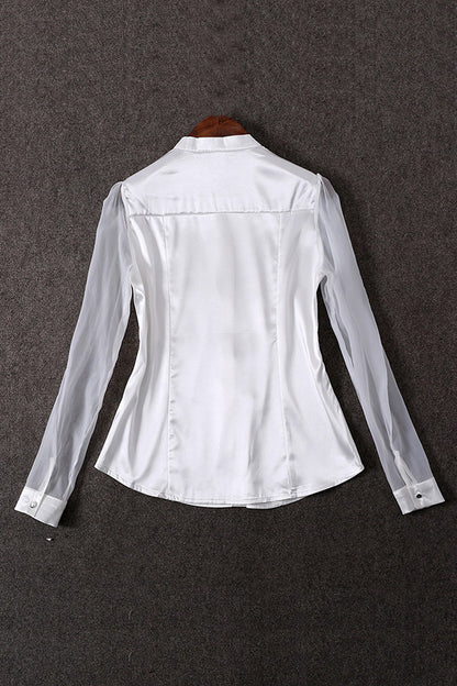 Stand Collar Sheer Mesh Sleeve Single Brested Blouse