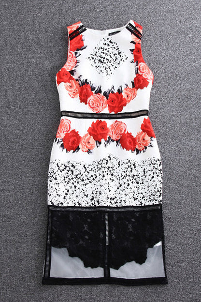 Lace-Paneled  Rose Printed Cocktail Dress