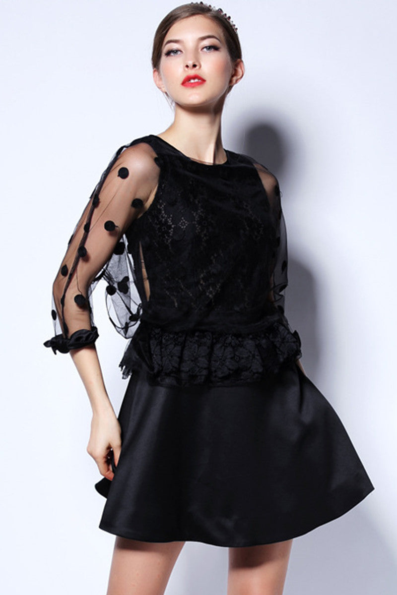 Round Collar Dot Pattern Print Sheer Mesh Dolman Sleeve Flare  Slim Dress