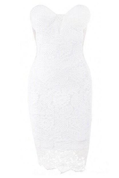 Full Back Zipper Down Lace Tube Short Bodycon Dress