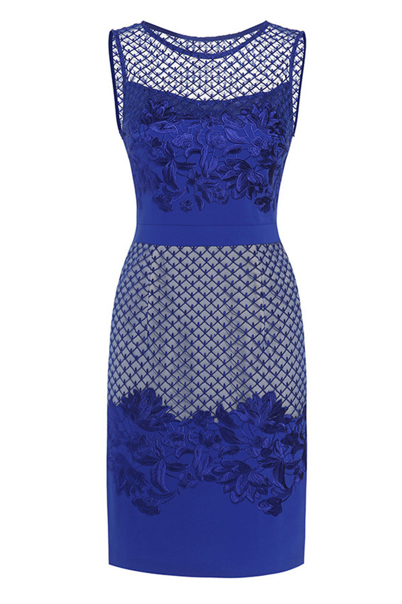 Round Collar Sheer Mesh Grid Floral Lace Slim Dress