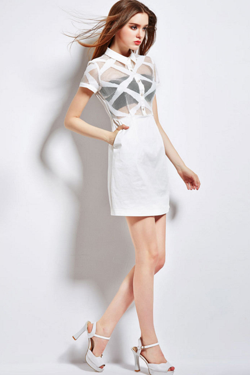 Laple Short Sleeve Sheer Chiffon Slim Dress