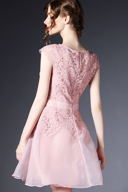 Round Collar Lace Applique Mesh Pleat Dress