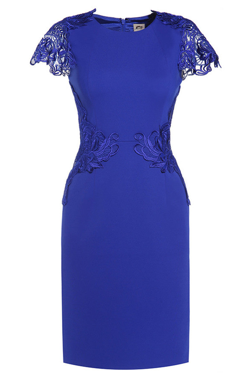 Round Collar Floral Lace Applique  Slim Dress