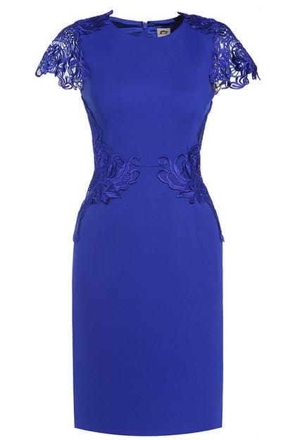 Round Collar Floral Lace Applique  Slim Dress