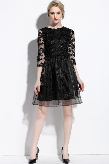 Round Collar Floral Embroidery Applique Sheer Organza Full Pleated Dress