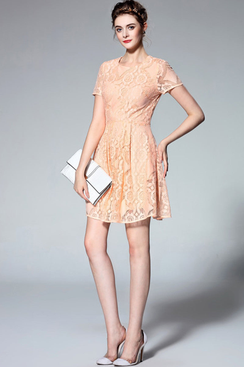 Round Collar See Through  Floral Lace Pleated Dress