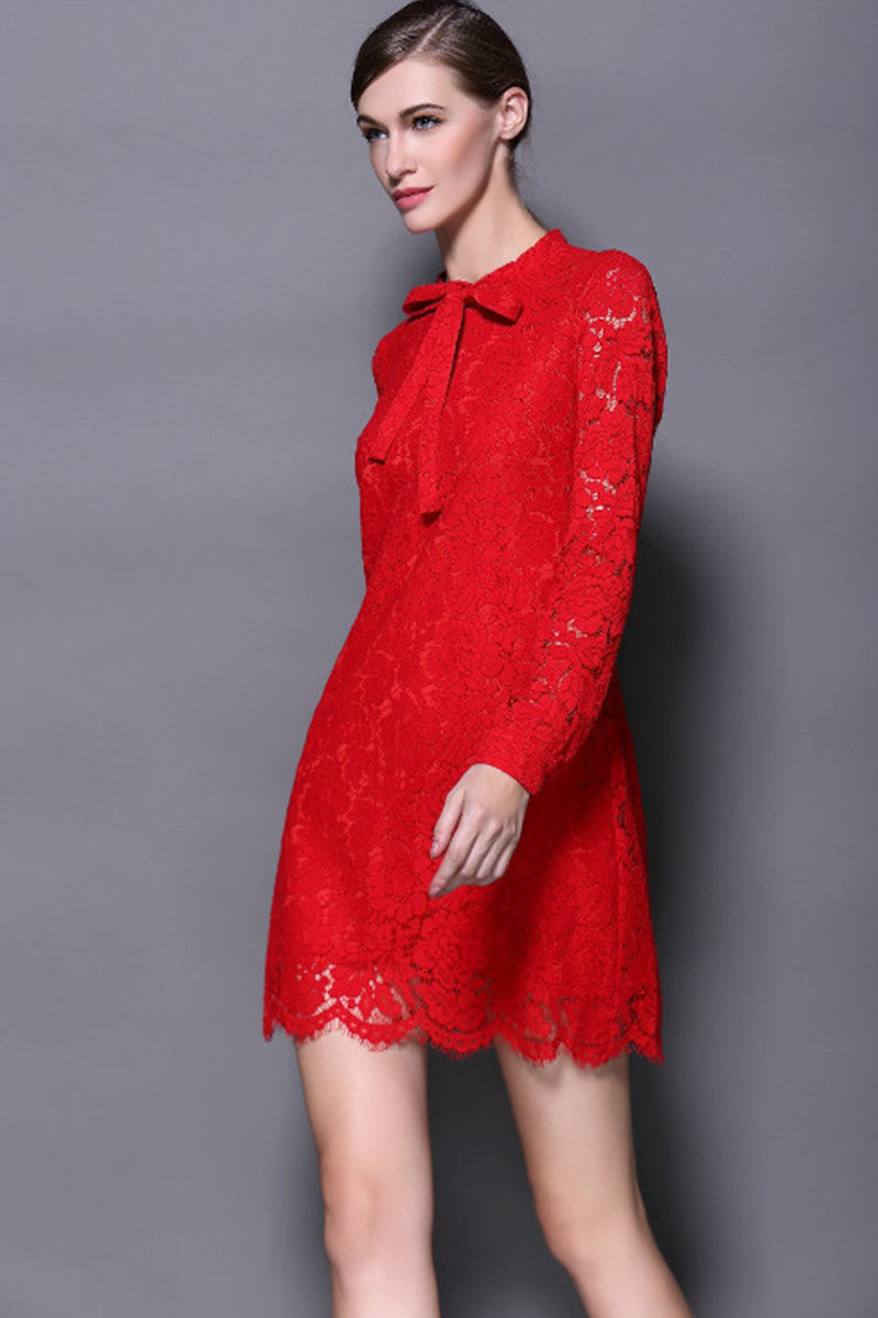 Eyelash Lace Dress