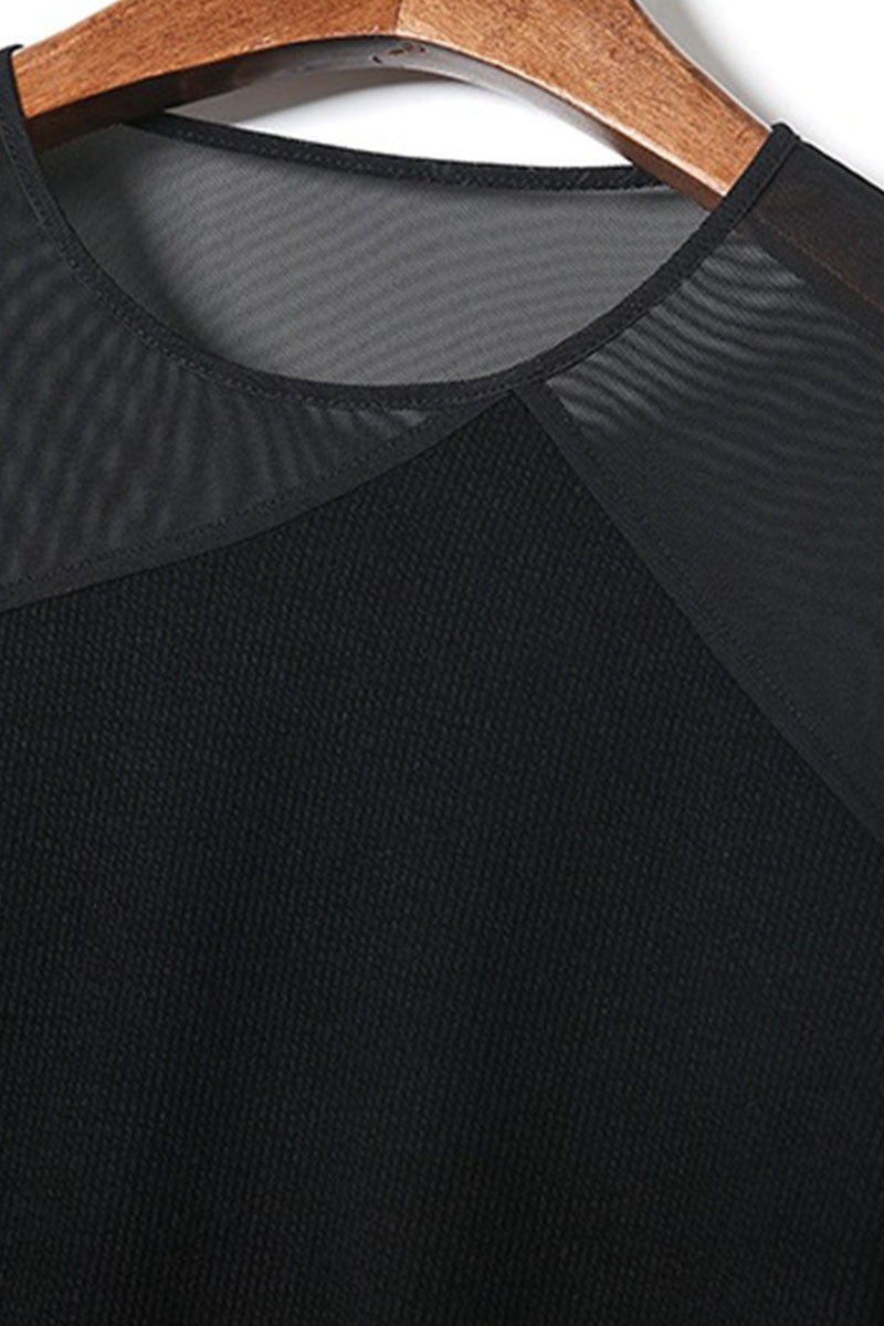 Round Collar Sheer Mesh Patch Slim And Fit  Dress
