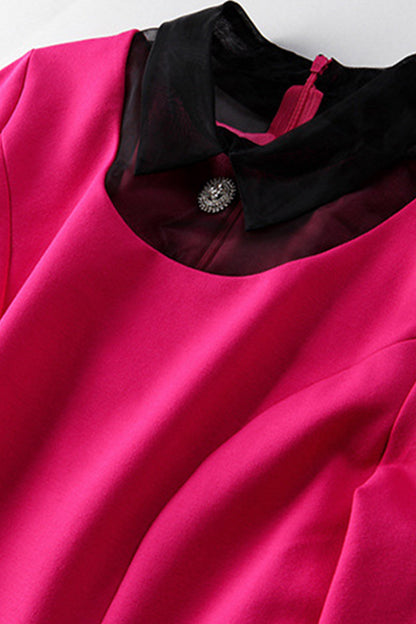 women's casual slim long sleeve lesbian short polo neck dress