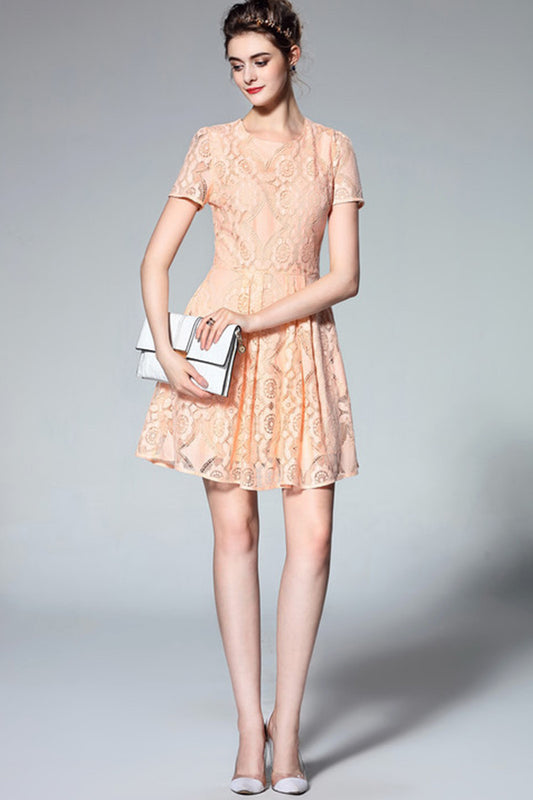 Round Collar See Through  Floral Lace Pleated Dress