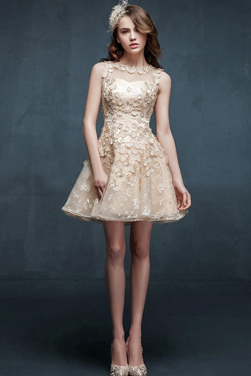 Rosette Lace Back Short Flare Little Party Dress