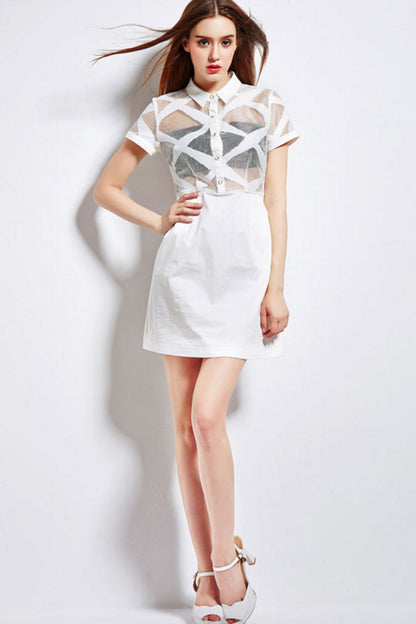 Laple Short Sleeve Sheer Chiffon Slim Dress