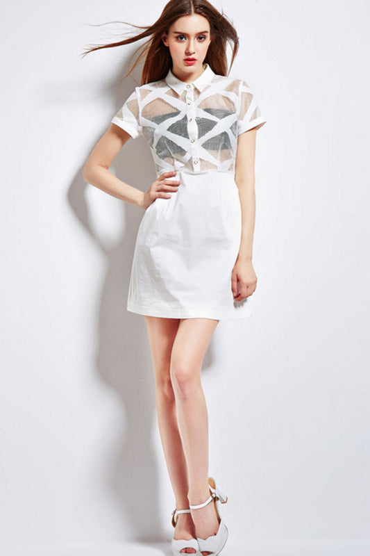 Laple Short Sleeve Sheer Chiffon Slim Dress