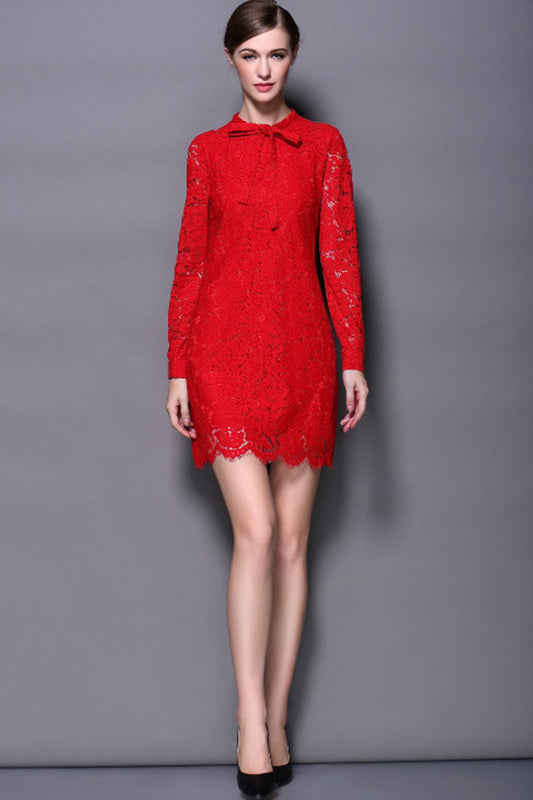 Eyelash Lace Dress
