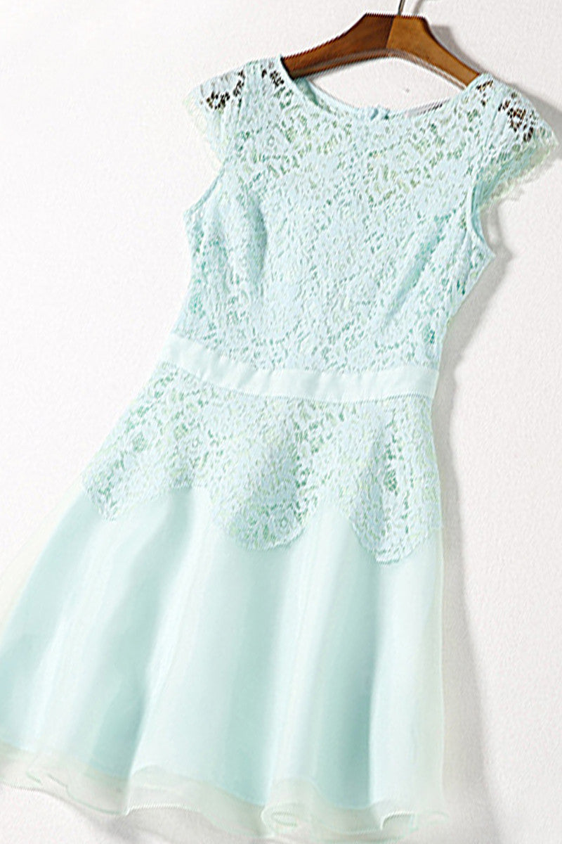 Round Collar Lace Applique Mesh Pleat Dress