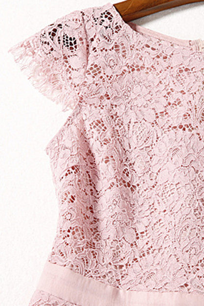 Round Collar Lace Applique Mesh Pleat Dress