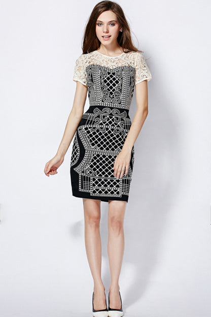 Round Collar Lace Illusion Patch Embroidery Slim Dress