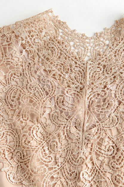 Elegant Prom Lace Stand Collar Embroidery Chiffon Dress