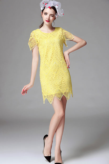 [30% OFF TILL 7 APR] Vintage Lace Embroidery Round Neck Casual Dress